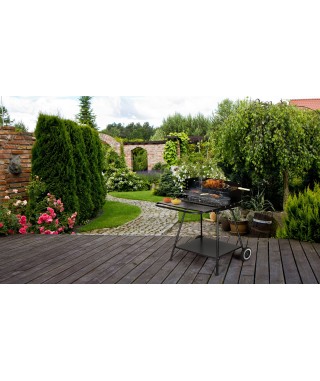 GRILL OGRODOWY Z ROŻNEM, PÓŁKAMI I DUŻYM RUSZTEM 2