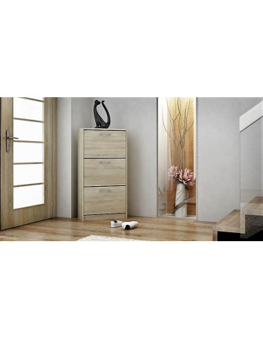 SZAFKA NA BUTY PAULA (ARTISAN, BIAŁY, SONOMA, WENGE)