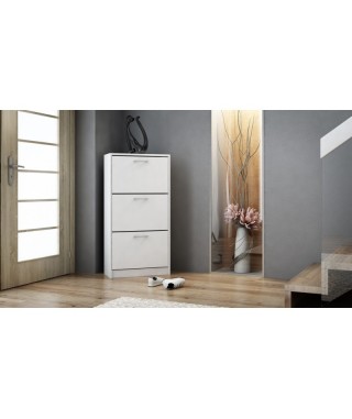 SZAFKA NA BUTY PAULA (ARTISAN, BIAŁY, SONOMA, WENGE) 2