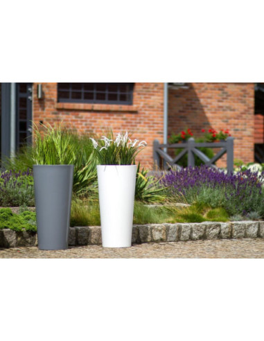 DONICA INDOOR / OUTDOOR HABANA STANDARD (BIAŁA, SZARA)