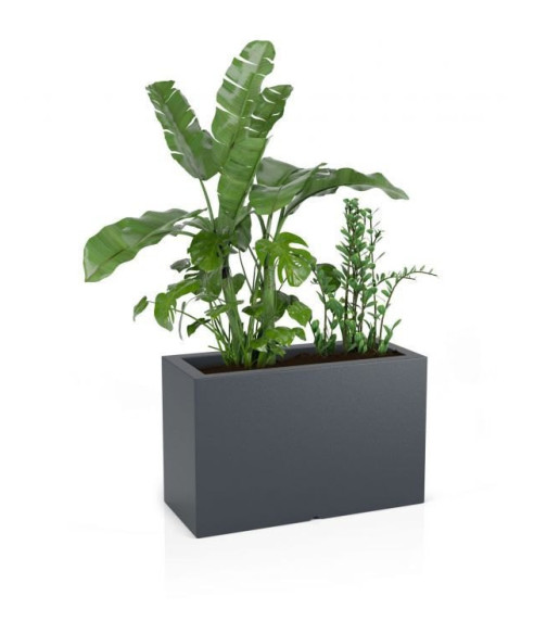 DONICA INDOOR / OUTDOOR LUNGO MAXI STANDARD (BIAŁA, SZARA)