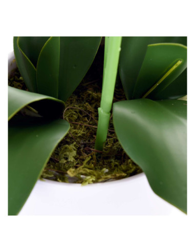 STORCZYK ORCHIDEA SZTUCZNA W DONICZCE 24 KWIATY (BIAŁY, RÓŻOWY)